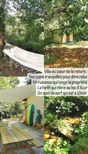 AigaSurfHouse